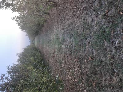 ارض سكنية للبيع في مدينة الشمال، مدينة الشمال - أرض سكنية للبيع في مدينة الشمال ارض سكنية للبيع في مدينة الشمال، مدينة الشمال - أرض سكنية للبيع في مدينة الشمال