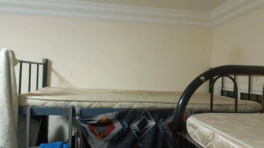 شقة 2 غرفة نوم للايجار في الدوحة الجديدة، الدوحة - شقة من غرفتي نوم للإيجار في الدوحة الجديدة، الدوحة شقة 2 غرفة نوم للايجار في الدوحة الجديدة، الدوحة - شقة من غرفتي نوم للإيجار في الدوحة الجديدة، الدوحة