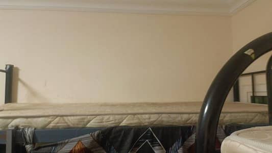 فلیٹ 2 غرفة نوم للايجار في الدوحة الجديدة، الدوحة - شقة من غرفتي نوم للإيجار في الدوحة الجديدة، الدوحة فلیٹ 2 غرفة نوم للايجار في الدوحة الجديدة، الدوحة - شقة من غرفتي نوم للإيجار في الدوحة الجديدة، الدوحة