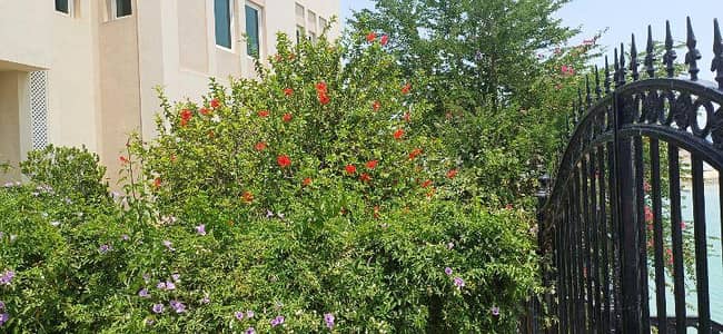 4 Bedroom Villa for Rent in Old Airport, Doha - 4 Bedrooms Villa For Rent Old Airport, Doha