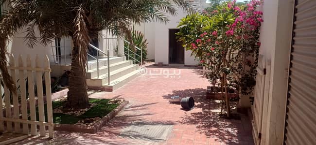 فیلا 4 غرف نوم للايجار في المعمورة، الدوحة - فيلا 4 غرف نوم للإيجار في المعمورة الدوحة فیلا 4 غرف نوم للايجار في المعمورة، الدوحة - فيلا 4 غرف نوم للإيجار في المعمورة الدوحة