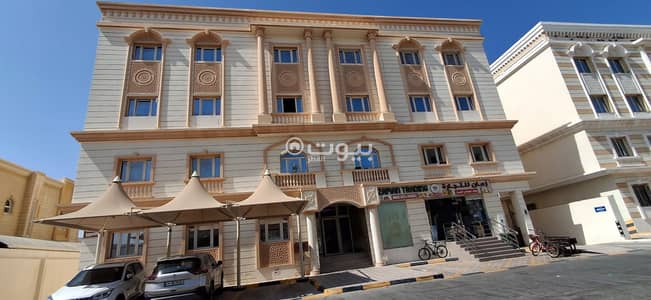 فلیٹ 3 غرف نوم للايجار في الوكرة، الوكرة - شقة من 3 غرف نوم للإيجار في العُقبة فلیٹ 3 غرف نوم للايجار في الوكرة، الوكرة - شقة من 3 غرف نوم للإيجار في العُقبة
